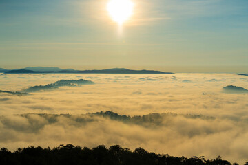 Sunrise over misty mountains in Dalat, with pine branches silhouetted against a golden sky. Ethereal clouds float above, creating a serene and tranquil nature scene.