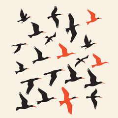 Silhouettes of birds flying with a few highlighted in orange on a cream background.