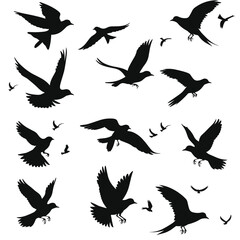 Obraz premium Silhouettes of birds in various flying positions on a white background.