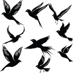 Obraz premium Silhouettes of various birds in flight against a white background.