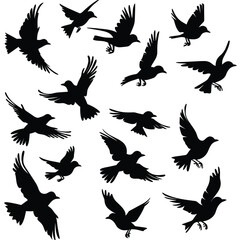 Obraz premium Silhouettes of various birds in flight against a white background.