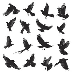 Obraz premium Silhouettes of various birds in flight against a white background.