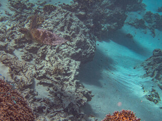 Rarotonga (August 2024).