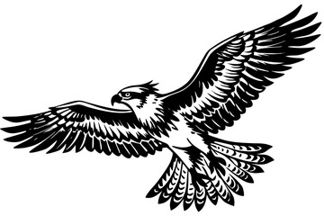 Obraz premium osprey bird vector silhouette, hawk osprey bird vector, osprey silhouette 