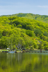 日本　長野県北佐久郡立科町にある白樺湖と新緑に囲まれた湖畔の風景