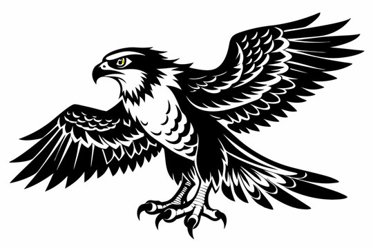 osprey bird vector silhouette, hawk osprey bird vector, osprey silhouette
