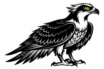 osprey bird vector silhouette, hawk osprey bird vector, osprey silhouette
