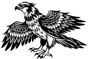 Obraz premium osprey bird, osprey silhouette vector, hawk osprey bird vector illustration