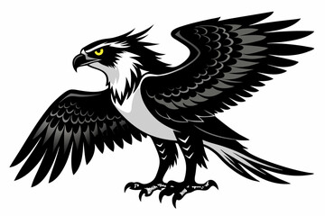 osprey bird, osprey silhouette vector, hawk osprey bird vector illustration