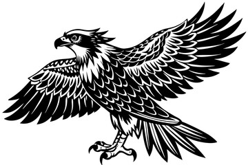 osprey bird, osprey silhouette vector, hawk osprey bird vector illustration