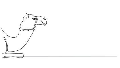 continuous line of camel.draw one line of camel that looks half.single line of camel for simple background.isolated white background