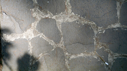 Shadow of the tree on the stone floor. Abstract background for design.