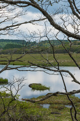 日本　長野県諏訪郡の八ヶ岳中信高原国定公園中部の霧ヶ峰にある八島ヶ原湿原
