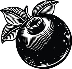 illustration of an apple
