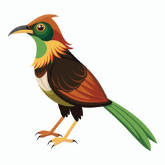 buff tailed sicklebill bird vector