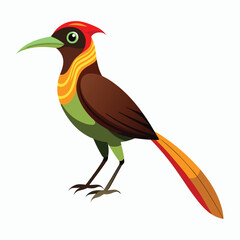 buff tailed sicklebill bird vector