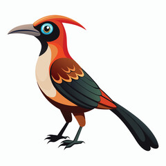 buff tailed sicklebill bird vector