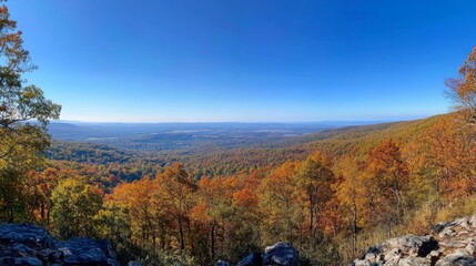 Autumnal Forest Landscape with Distant Valley