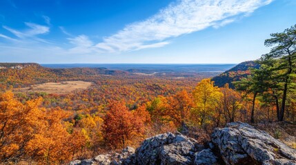 Obraz premium Autumnal Forest Landscape from a Mountaintop