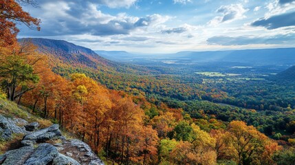 Autumnal Forest Landscape with Mountain and Valley Views