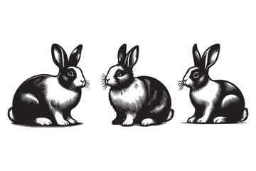 Rabbit silhouette vector illustration