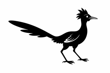 
Road runner bird icon, roadrunner silhouette, vector illustration