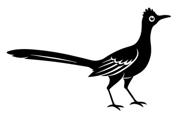 
Road runner bird icon, roadrunner silhouette, vector illustration