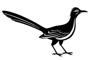 roadrunner bird vector silhouette, roadrunner bird icon vector, roadrunner silhouette