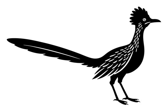 recommend clip art: 
                    Road runner bird icon, roadrunner silhouette, vector illustration