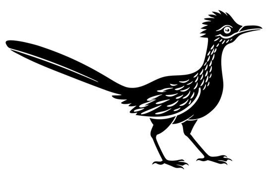 recommend clip art: roadrunner bird vector silhouette, roadrunner bird icon vector, roadrunner silhouette