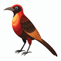 buff tailed sicklebill bird vector