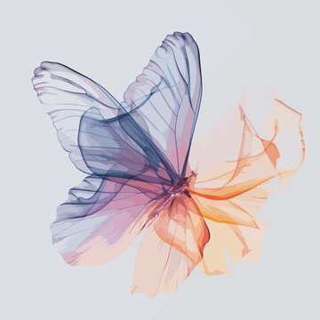 A delicate butterfly with translucent wings in shades of blue and orange.