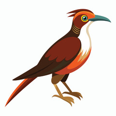 buff tailed sicklebill bird vector