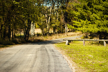 Autumn in the Forest on a Country Road