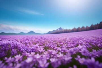 Beautiful and Peaceful Nature Scenery Illustration, Landscape, Countryside, Tranquil, Vibrant and Colorful