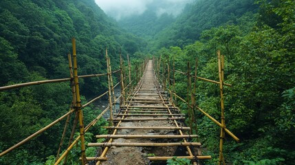Rustic Bamboo Bridge in Lush Green Forest