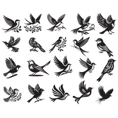 Obraz premium Bird vector silhouette