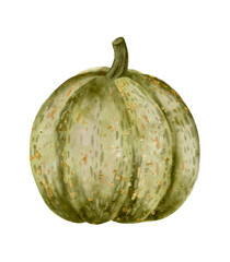 A Stylish Green Pumpkin Illustration Perfect for Creating Autumn Seasonal Decor Themes