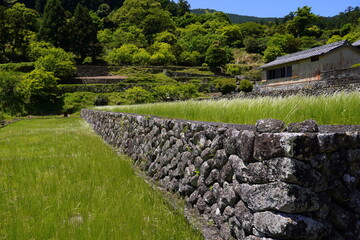 熊野古道　大門坂入口付近
