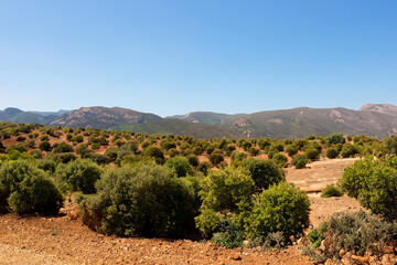 Naklejka premium mediteranian landscape background