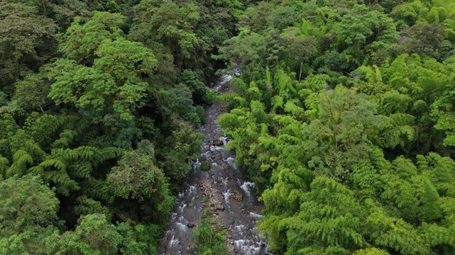 Toma aerea de seguimiento con drone del r&iacute;o rodeado de bosque y mucha vegetaci&oacute;n en el bosque tropical y revelando las monta&ntilde;as al fondo