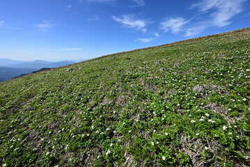 Mt. Tairappyou and Sennokura
