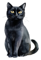 Black cat sitting with bright yellow eyes in style, cut out - stock png.