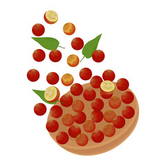 Vector Illustration Logo Clip art Levitation Superfood Camu Camu berry 