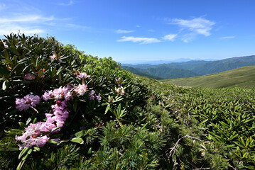 Mount. Tairappyou and Sennokura, Gunma, Japan