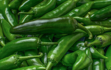 Fresh Organic Jalapeno Peppers Closeup Background Green Spicy Vegetables