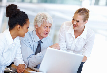 Business people, laptop and finance review in office, budget planning and team for collaboration. Staff, online and stock market website for exchange revenue, reading update and ideas for growth