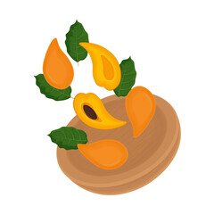 Vector Illustration Logo Clipart  levitation Superfood Canistel Fruit or Pouteria lucuma