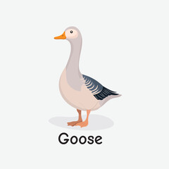 Obraz premium Goose Cartoon Vector Illustration for Kids Learning, Posters, Cards, and Sublimation Prints on White Background