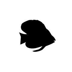 fish silhouette